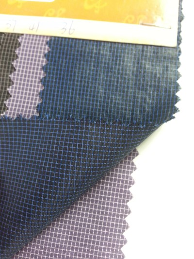 FS-CGFA 0118#-B 細節-1